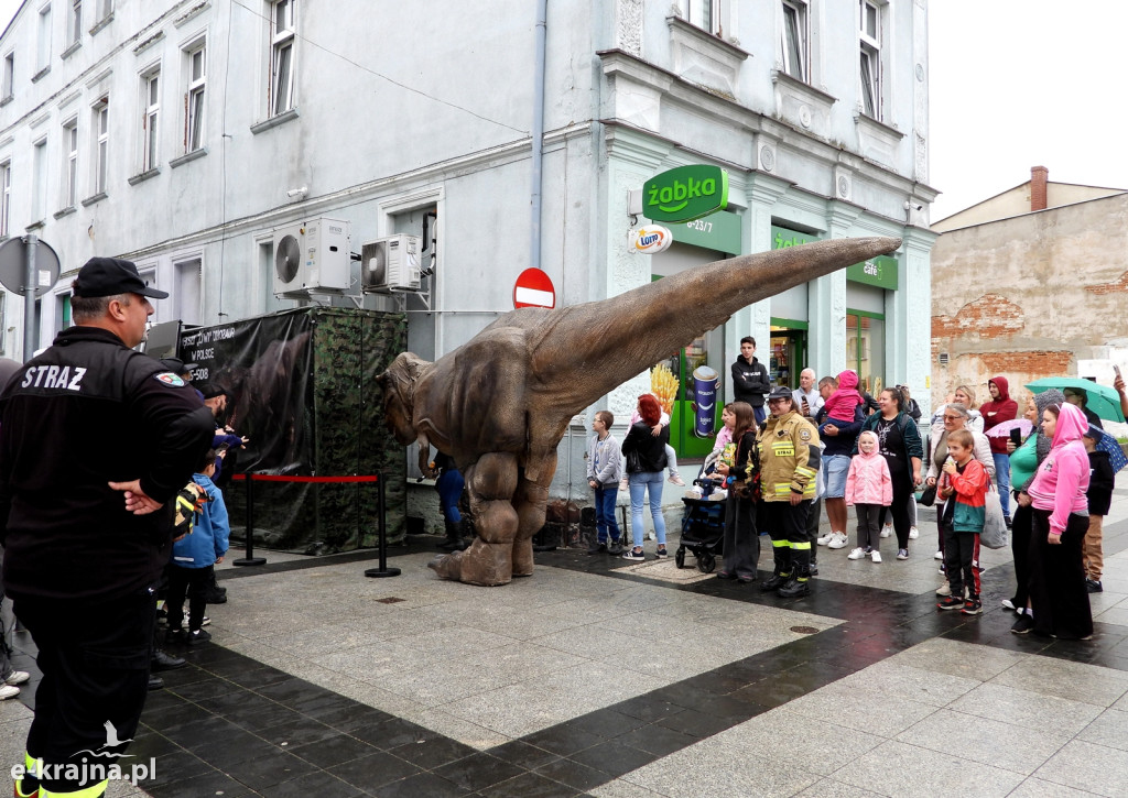 Sensacyjne znalezisko w Sępólnie Krajeńskim