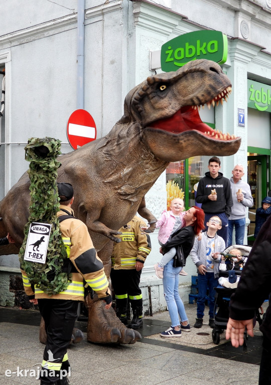 Sensacyjne znalezisko w Sępólnie Krajeńskim