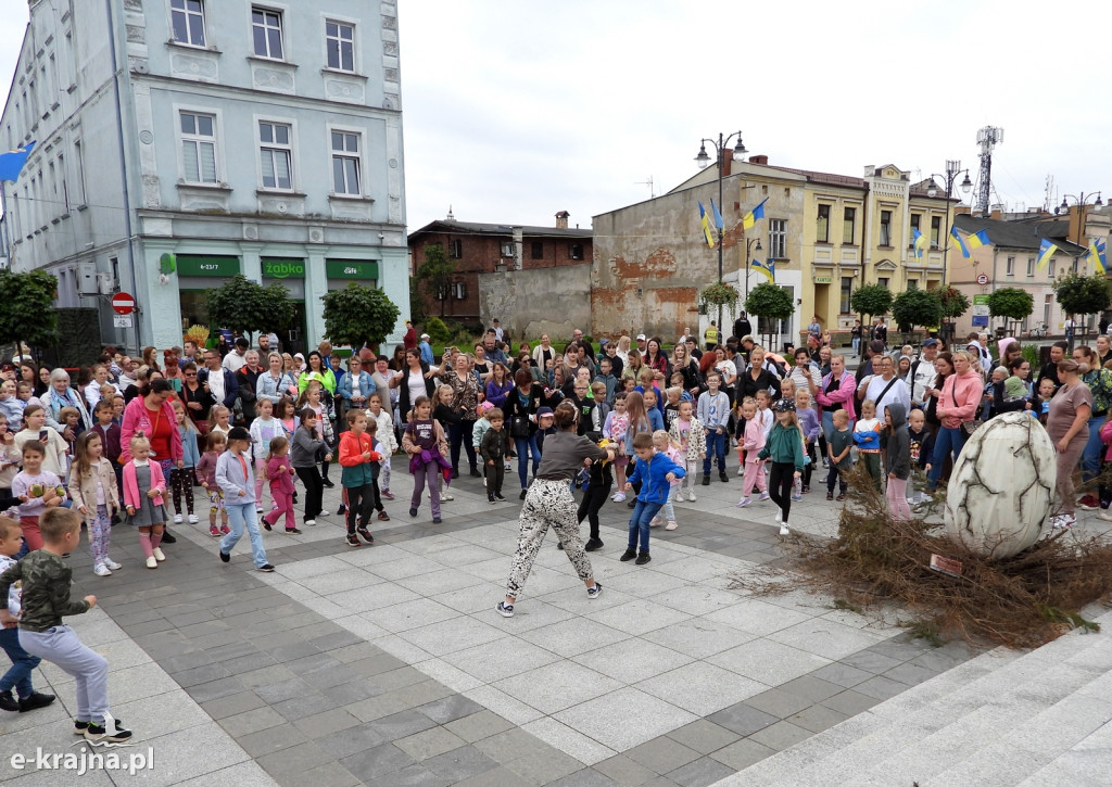 Sensacyjne znalezisko w Sępólnie Krajeńskim