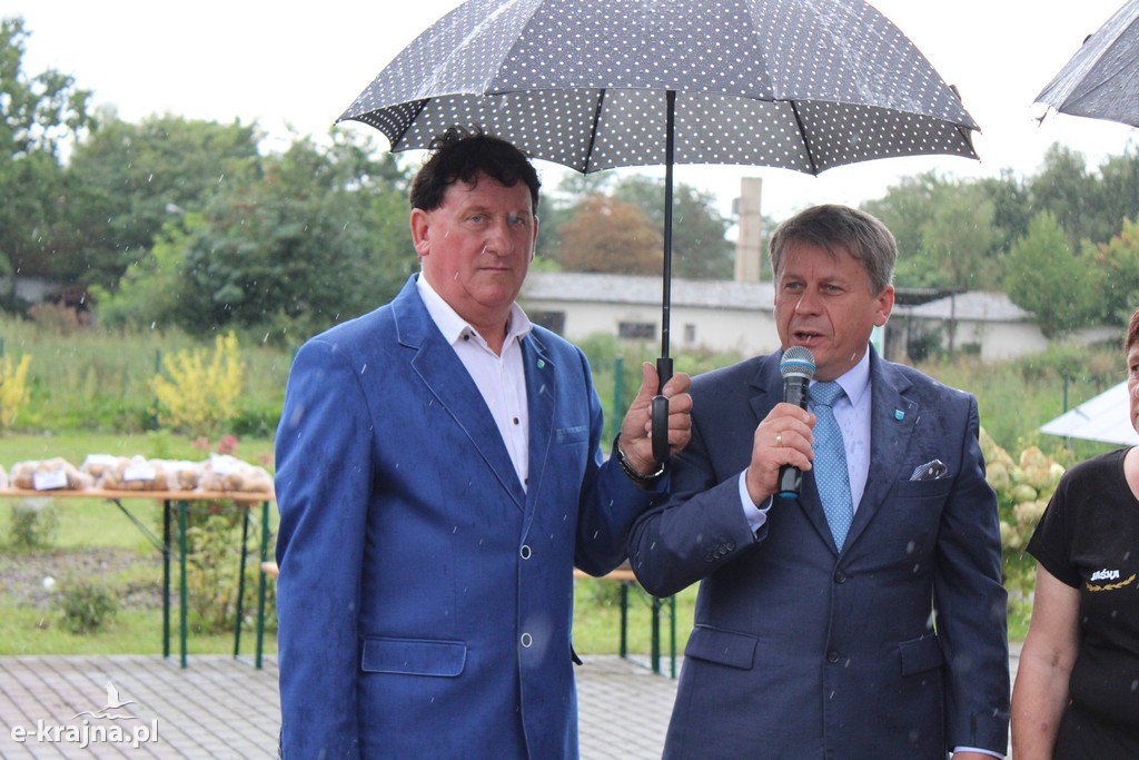 Święto Ziemniaka w Matyldzinie – tradycja, integracja i dobra zabawa