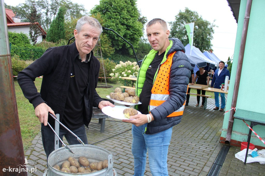 Święto Ziemniaka w Matyldzinie – tradycja, integracja i dobra zabawa