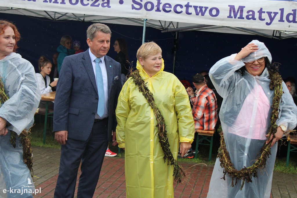Święto Ziemniaka w Matyldzinie – tradycja, integracja i dobra zabawa