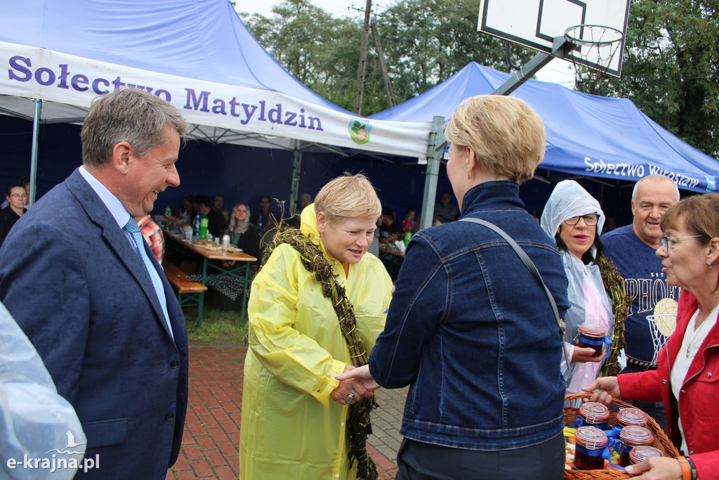 Święto Ziemniaka w Matyldzinie – tradycja, integracja i dobra zabawa