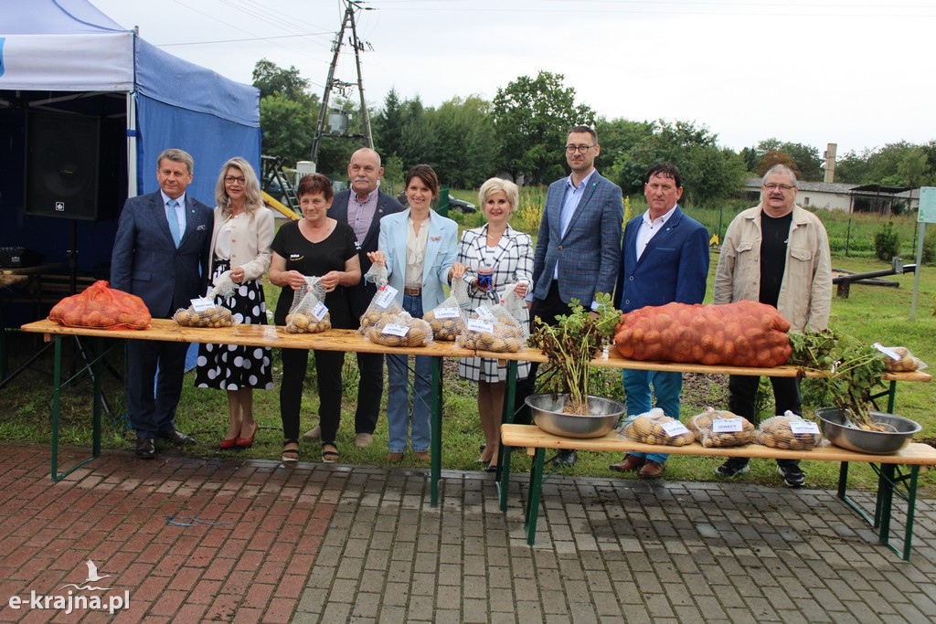 Święto Ziemniaka w Matyldzinie – tradycja, integracja i dobra zabawa