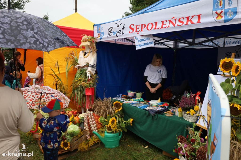 Dożynki Powiatowo-Gminne w Sośnie