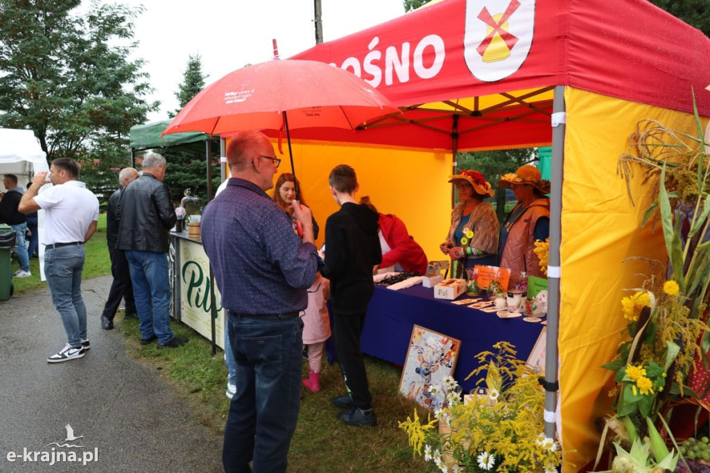 Dożynki Powiatowo-Gminne w Sośnie