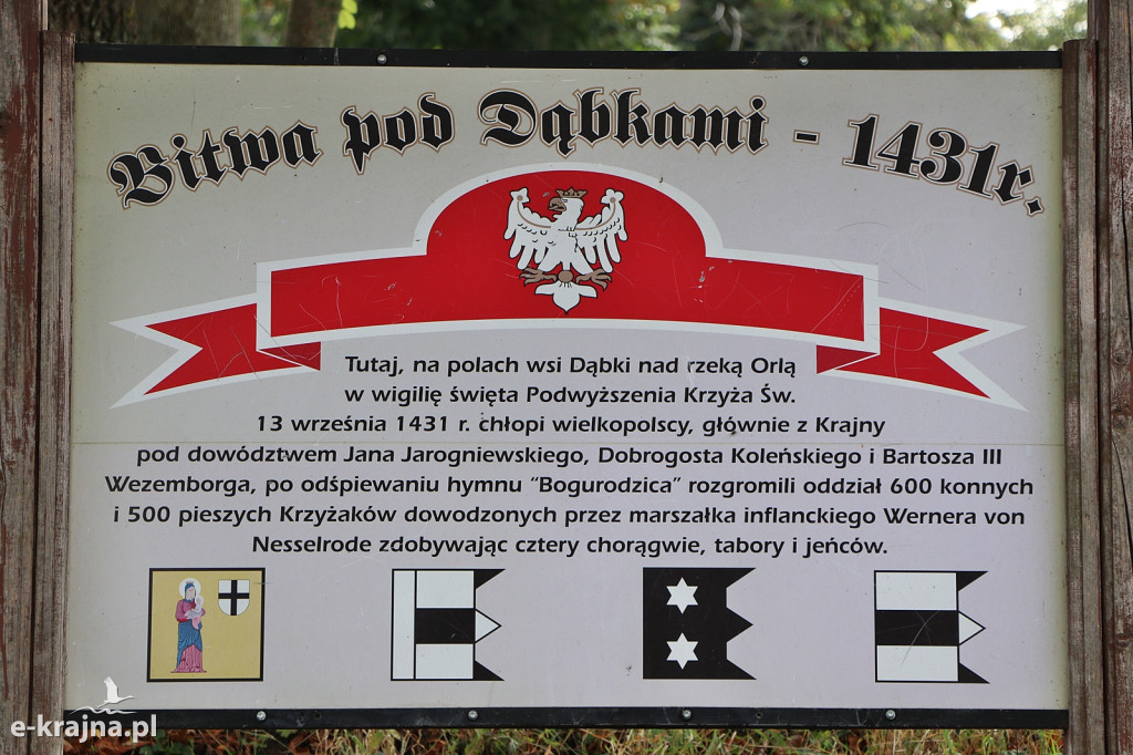 Wyrzysk: W 594. rocznicę Bitwy pod Dąbkami