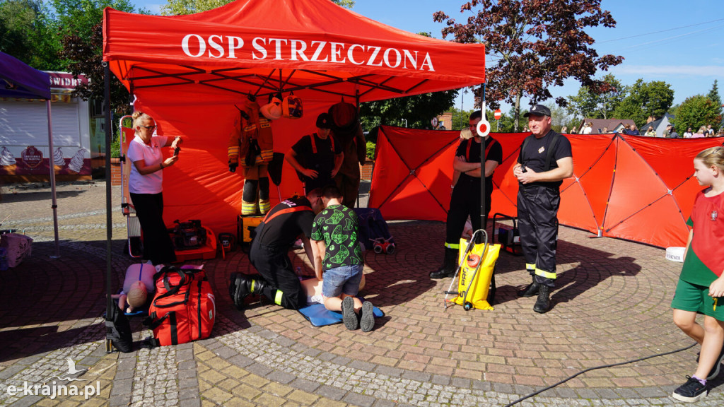Zakończenie Lata z Wolontariatem w Debrznie