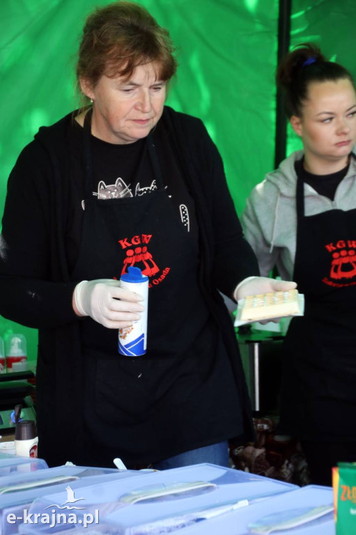 Gmina Więcbork - Pożegnanie lata - Piknik Rodzinny w Zakrzewku