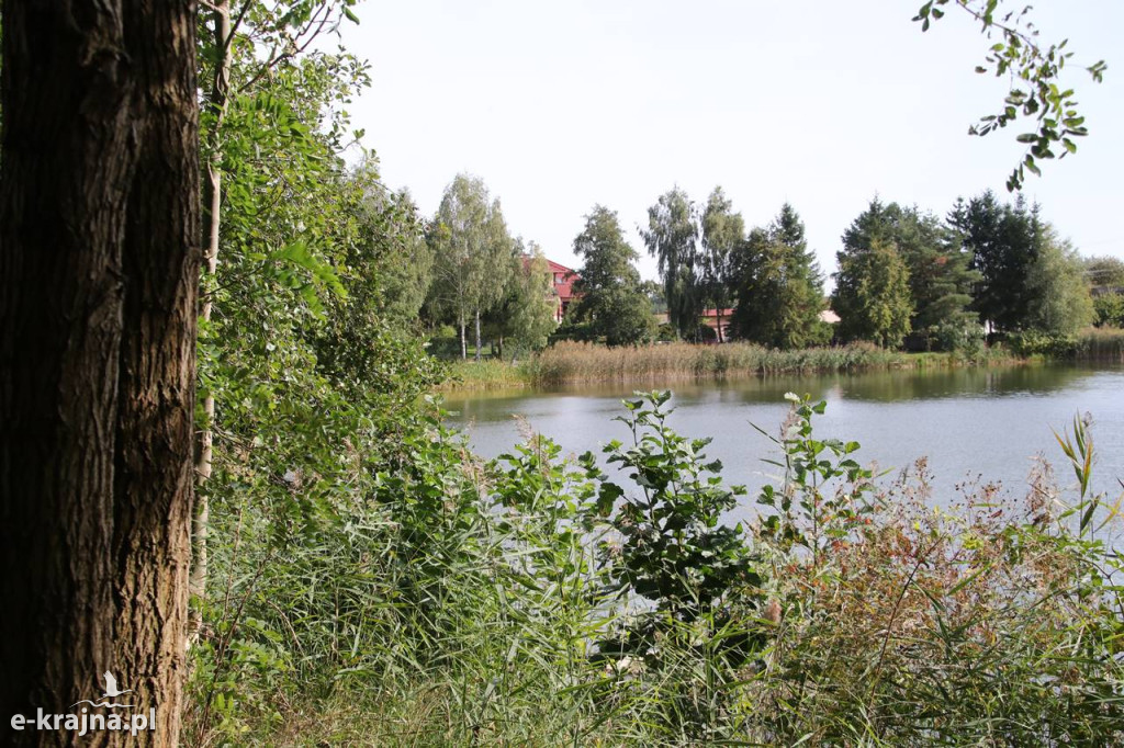 Gmina Więcbork - Pożegnanie lata - Piknik Rodzinny w Zakrzewku