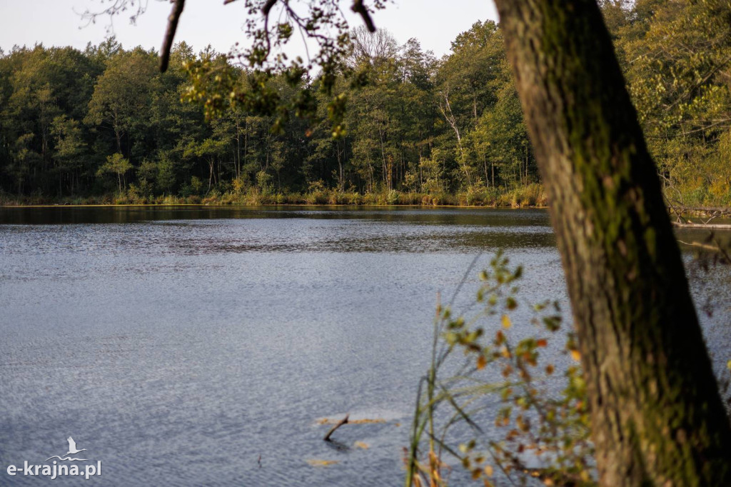 Sępólno Krajeńskie: II Krajeński Spacer Krajobrazowy