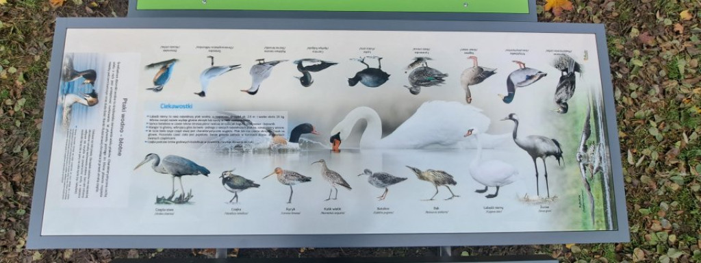 Nowe miejsce edukacji i relaksu w Krajence