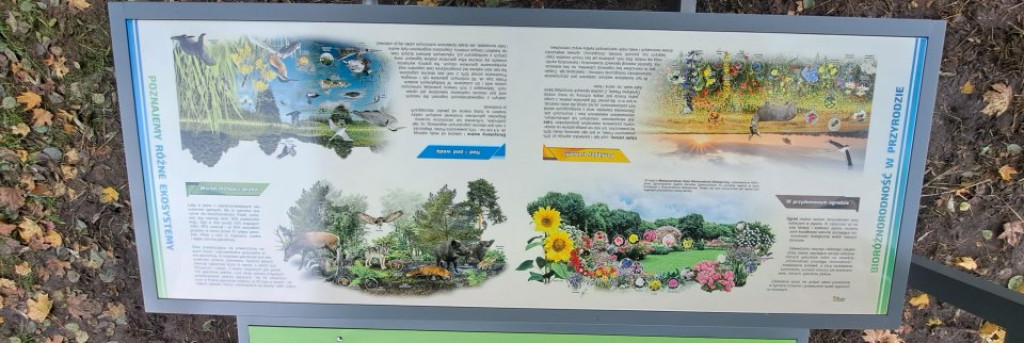 Nowe miejsce edukacji i relaksu w Krajence