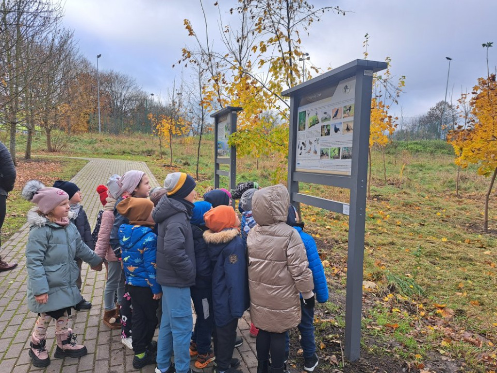 Nowe miejsce edukacji i relaksu w Krajence