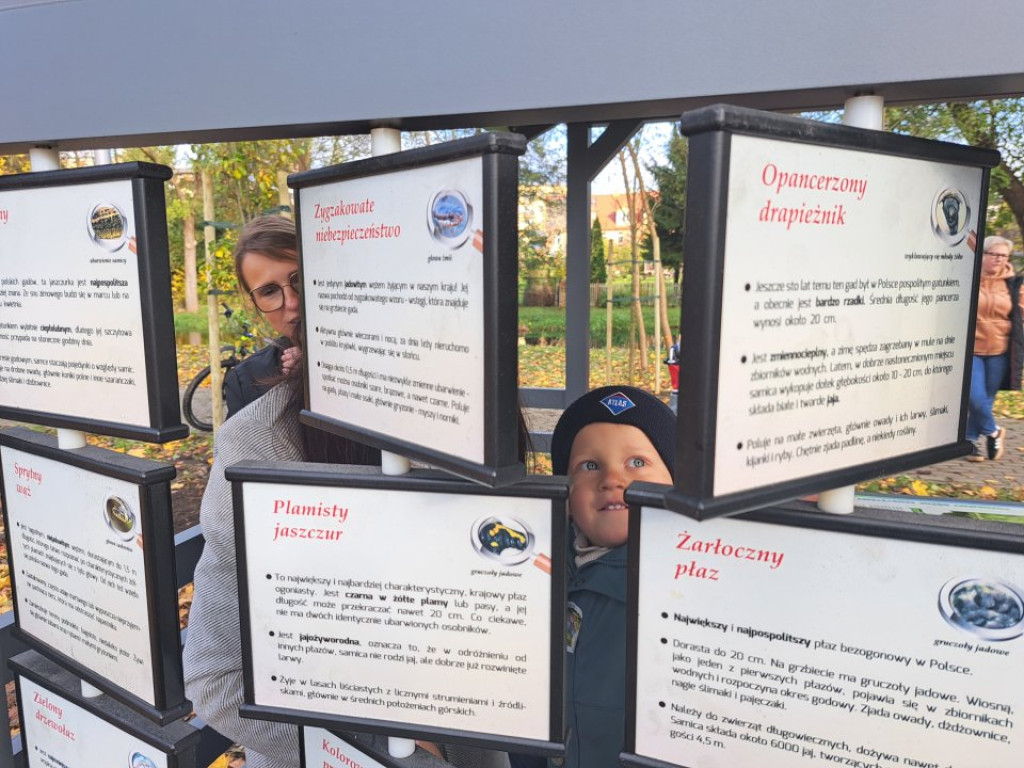 Nowe miejsce edukacji i relaksu w Krajence