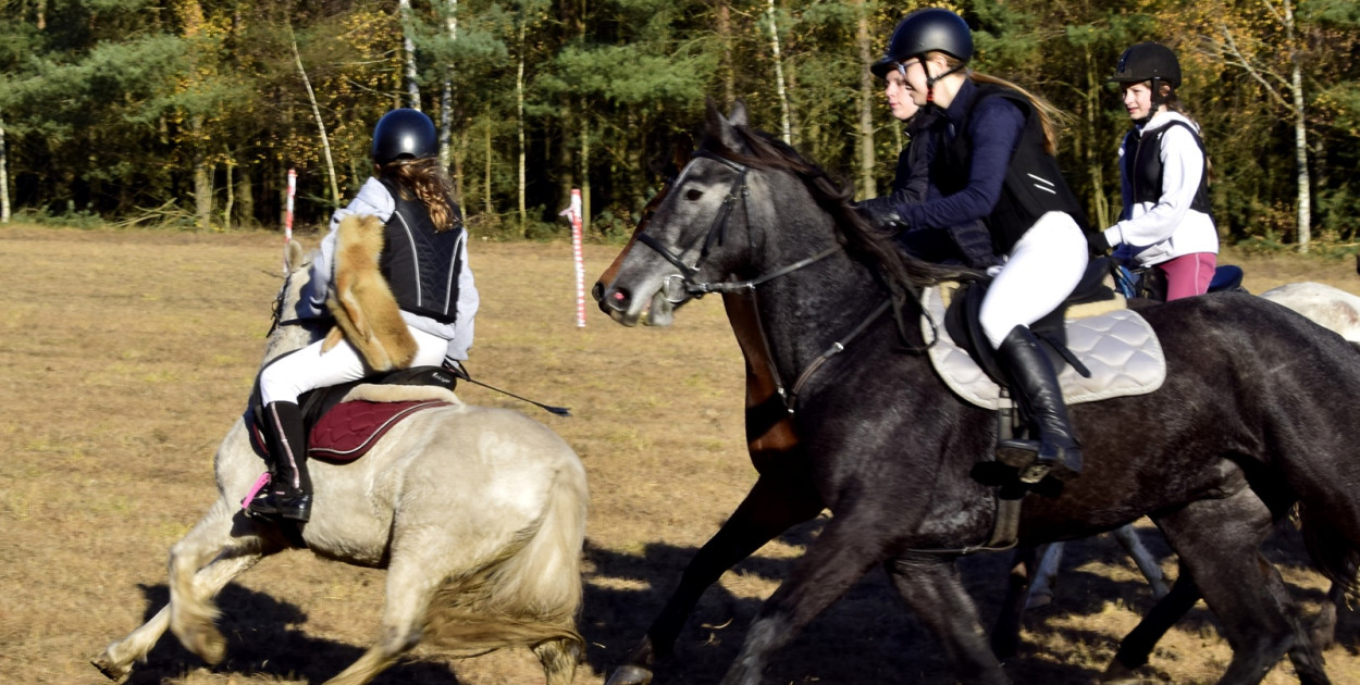 Gmina Więcbork: Hubertus w Sypniewie
