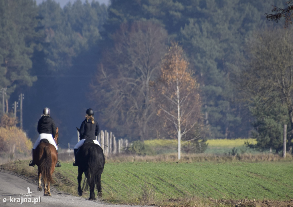 Gmina Więcbork: Hubertus w Sypniewie