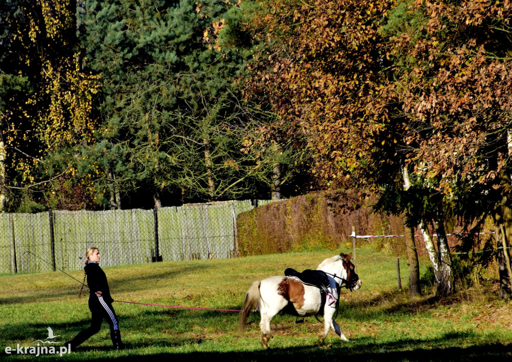 Gmina Więcbork: Hubertus w Sypniewie