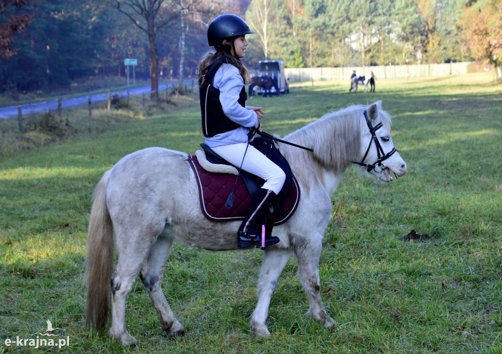 Gmina Więcbork: Hubertus w Sypniewie