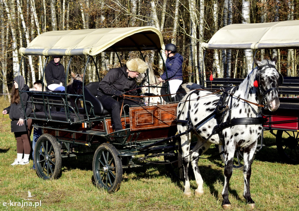 Gmina Więcbork: Hubertus w Sypniewie