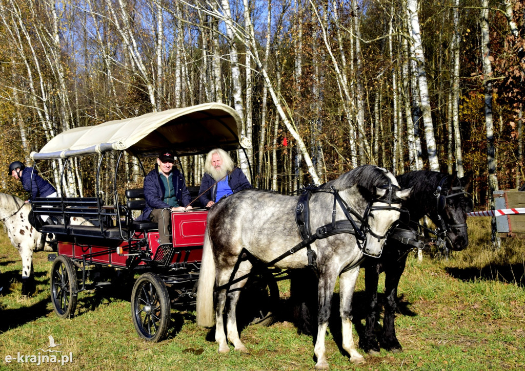 Gmina Więcbork: Hubertus w Sypniewie