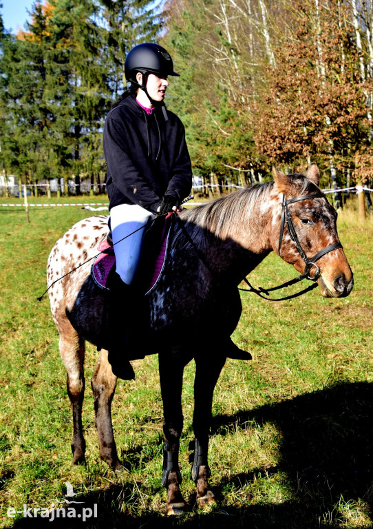 Gmina Więcbork: Hubertus w Sypniewie