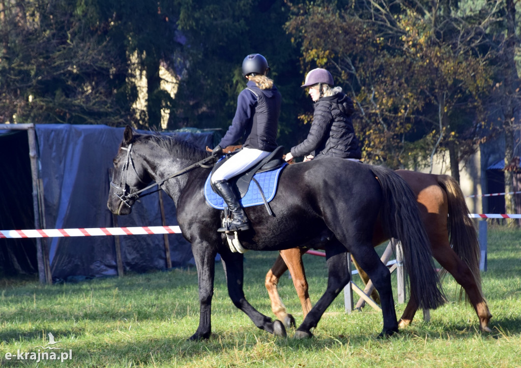 Gmina Więcbork: Hubertus w Sypniewie
