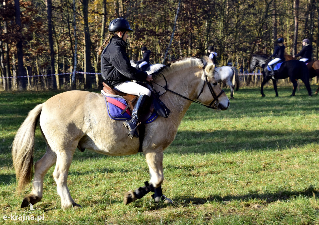Gmina Więcbork: Hubertus w Sypniewie