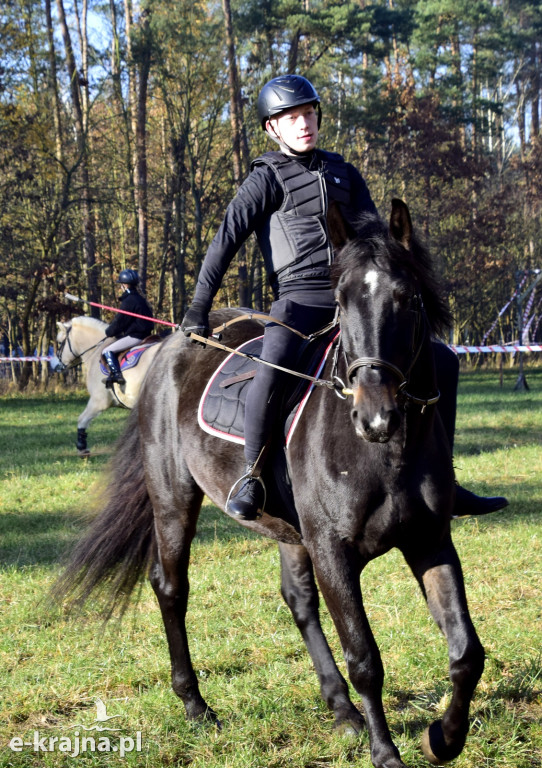 Gmina Więcbork: Hubertus w Sypniewie