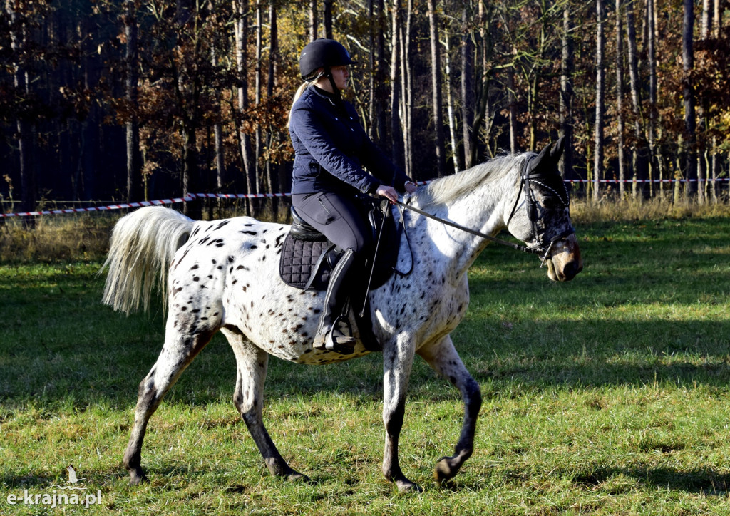 Gmina Więcbork: Hubertus w Sypniewie
