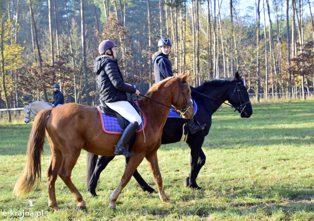 Gmina Więcbork: Hubertus w Sypniewie
