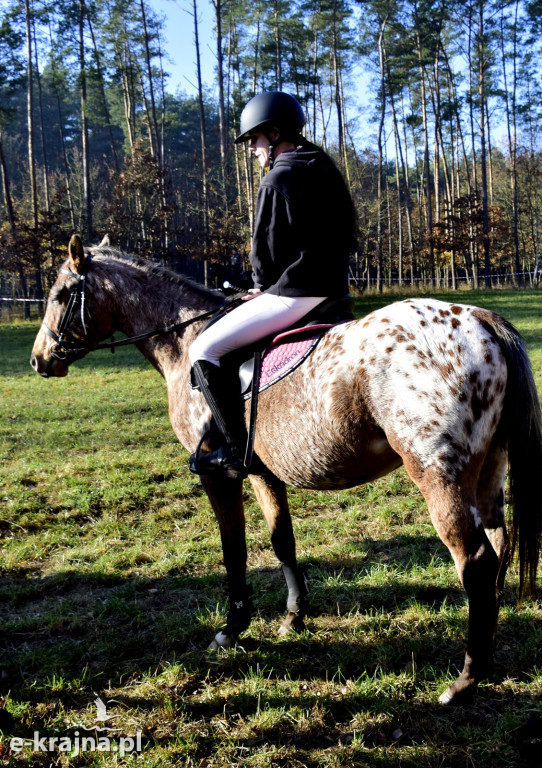 Gmina Więcbork: Hubertus w Sypniewie