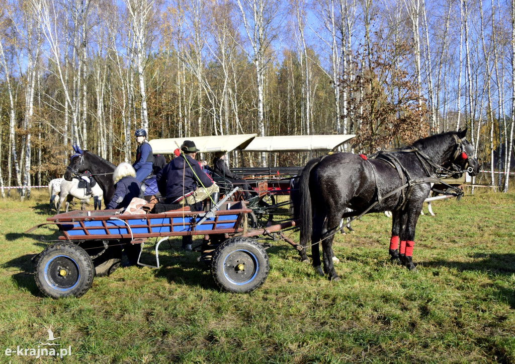 Gmina Więcbork: Hubertus w Sypniewie