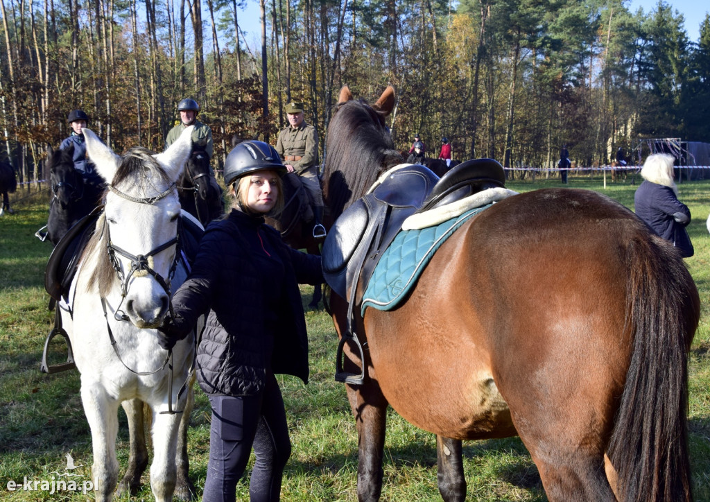 Gmina Więcbork: Hubertus w Sypniewie
