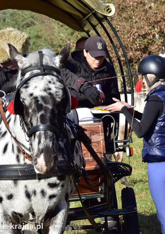 Gmina Więcbork: Hubertus w Sypniewie