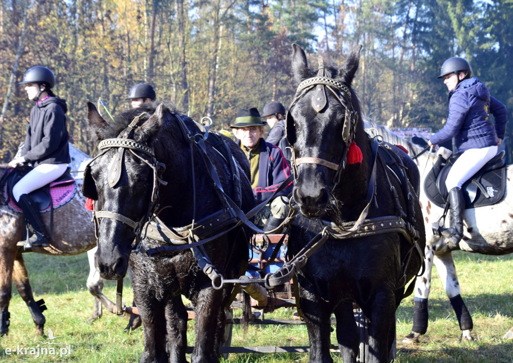 Gmina Więcbork: Hubertus w Sypniewie