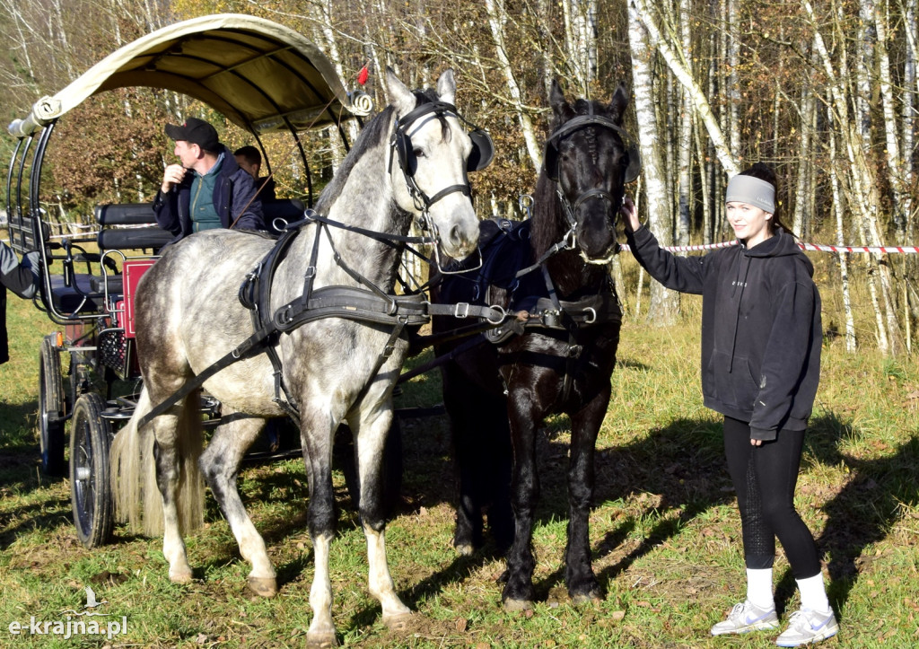 Gmina Więcbork: Hubertus w Sypniewie