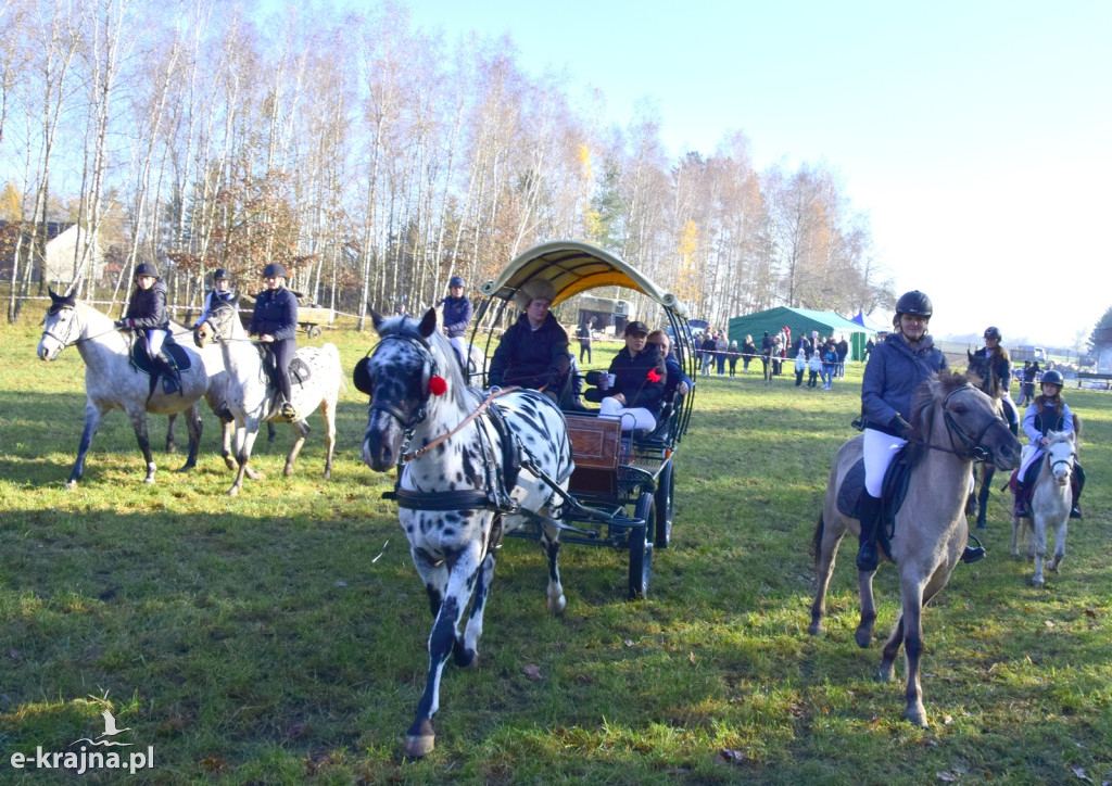Gmina Więcbork: Hubertus w Sypniewie