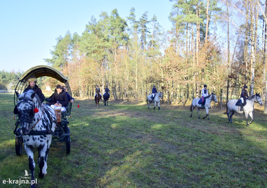 Gmina Więcbork: Hubertus w Sypniewie