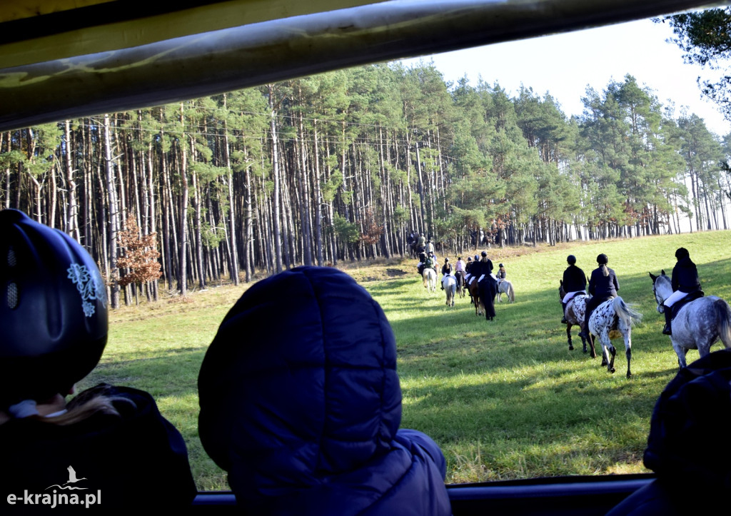 Gmina Więcbork: Hubertus w Sypniewie