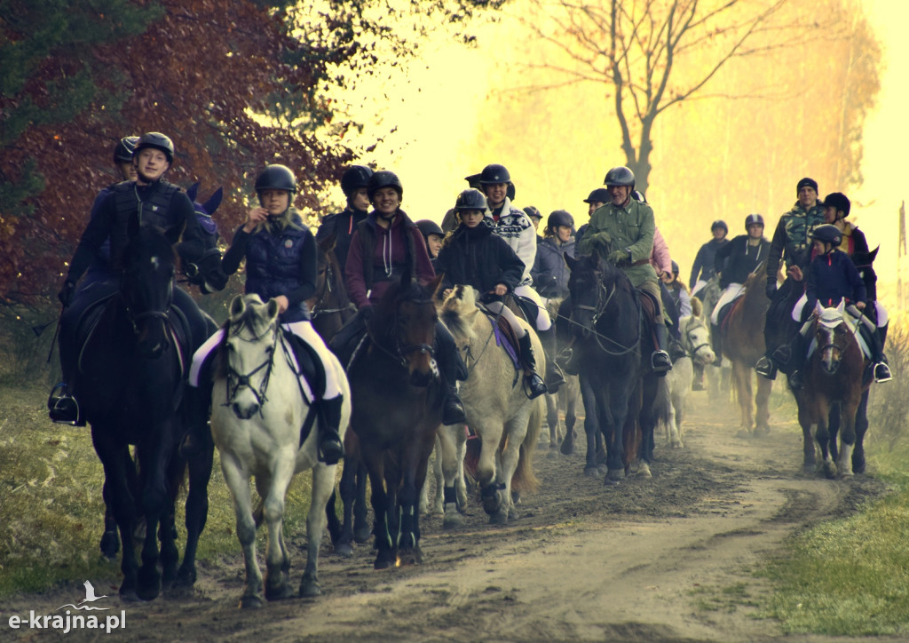 Gmina Więcbork: Hubertus w Sypniewie