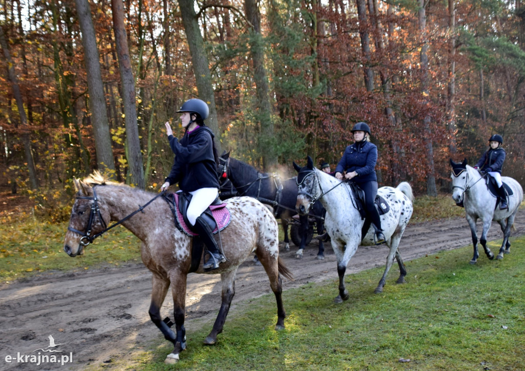 Gmina Więcbork: Hubertus w Sypniewie