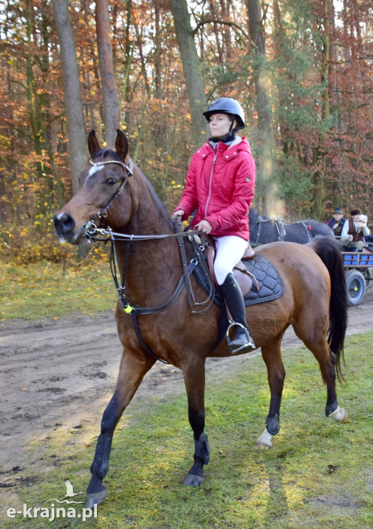 Gmina Więcbork: Hubertus w Sypniewie