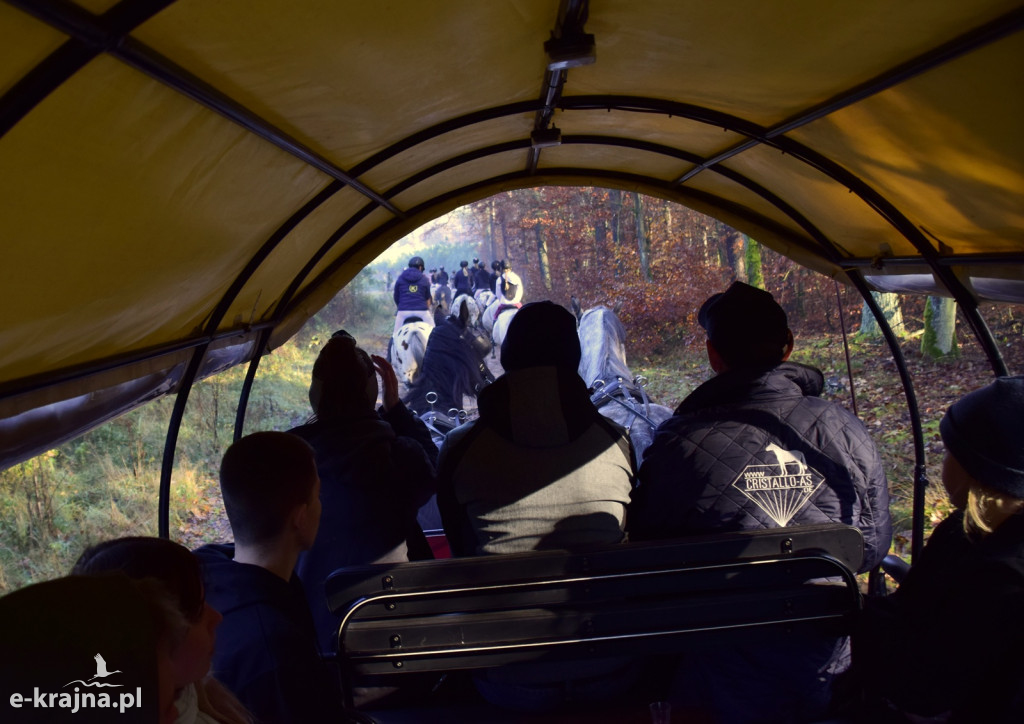 Gmina Więcbork: Hubertus w Sypniewie