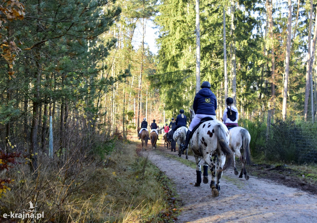 Gmina Więcbork: Hubertus w Sypniewie