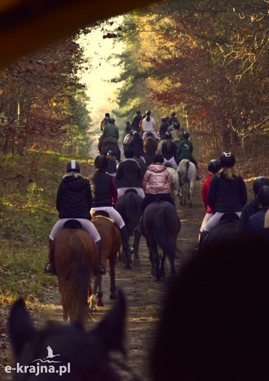 Gmina Więcbork: Hubertus w Sypniewie