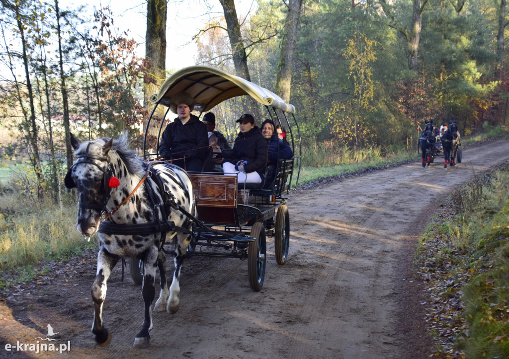 Gmina Więcbork: Hubertus w Sypniewie