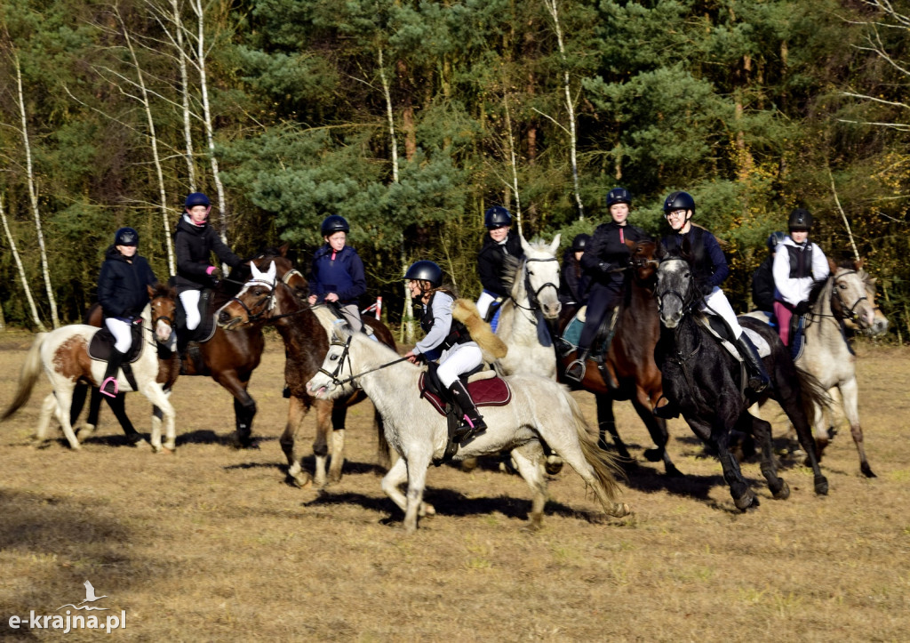 Gmina Więcbork: Hubertus w Sypniewie
