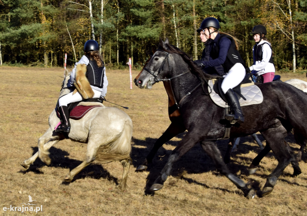 Gmina Więcbork: Hubertus w Sypniewie