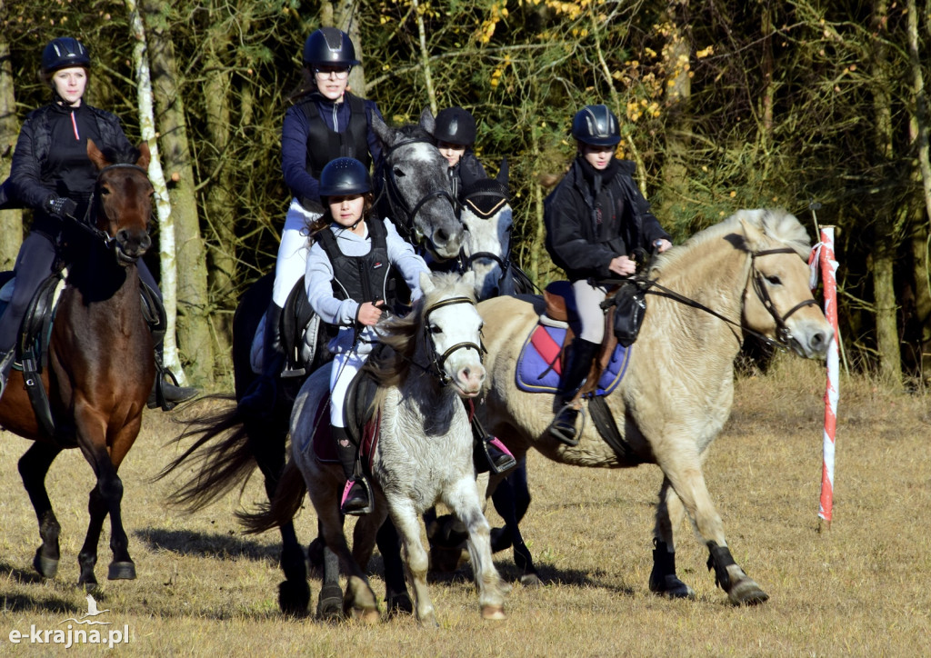 Gmina Więcbork: Hubertus w Sypniewie